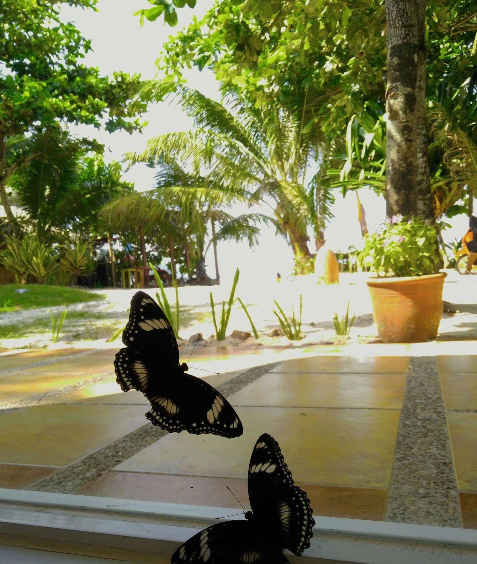 Aissatou Beach Resort Balabag  Exterior photo
